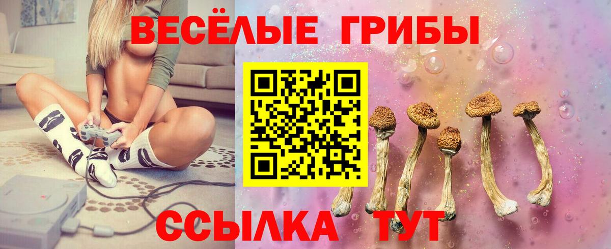 Галлюциногенные грибы Magic Shrooms Новый Уренгой